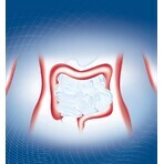 Biopron Forte 1×10 cps, complément alimentaire