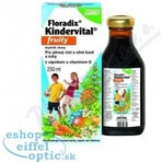 SALUS Floradix Kindervital fruity 1×250 ml, herbal syrup