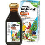 SALUS Floradix Kindervital fruity 1×250 ml, herbal syrup