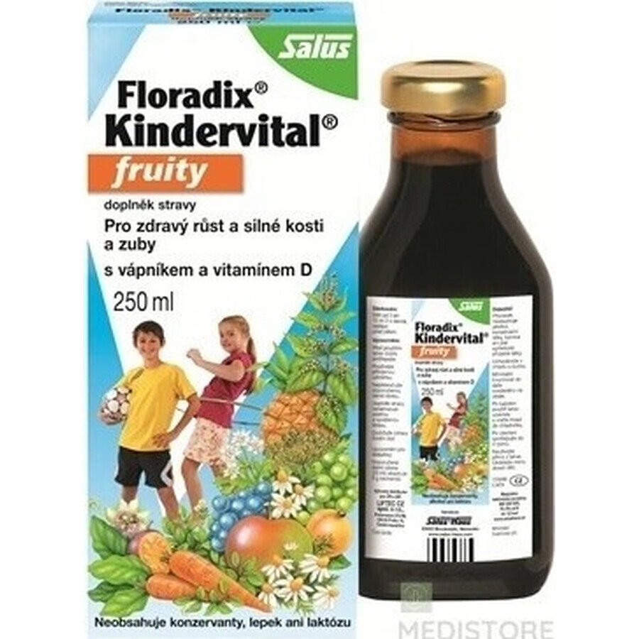 SALUS Floradix Kindervital fruity 1×250 ml, herbal syrup