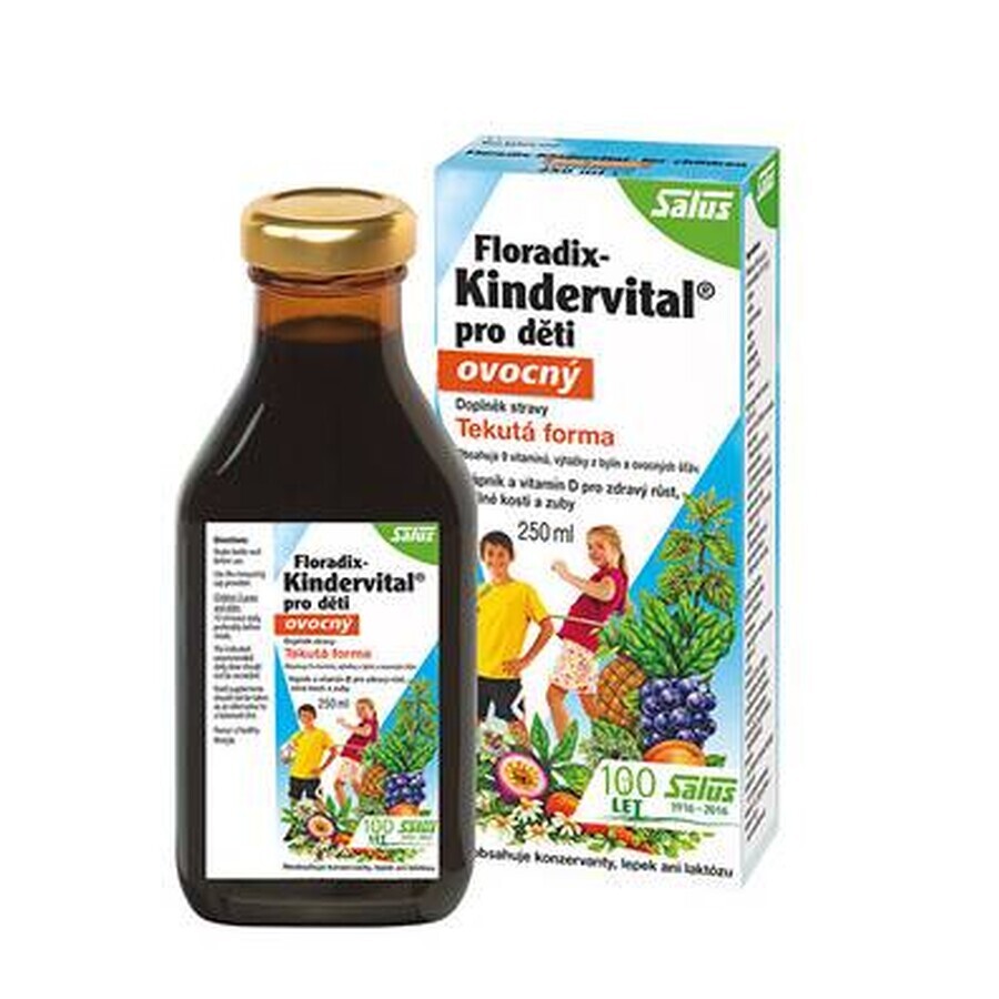 SALUS Floradix Kindervital fruity 1×250 ml, herbal syrup