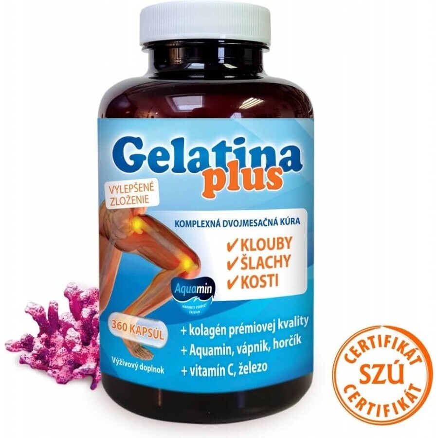 TEREZIA Gelatine Plus 1×360 cps, Gelenknahrung