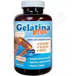 TEREZIA Gelatine Plus 1×360 cps, Gelenknahrung