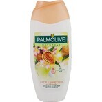 Shower Gel Palmolive Naturals Almond-Milk 2in1 1×250 ml with emollient milk