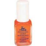 FOUR SEASONS ANTI-FURNITURE NAIL LACQUER 1×14 ml avec écorce d'orange