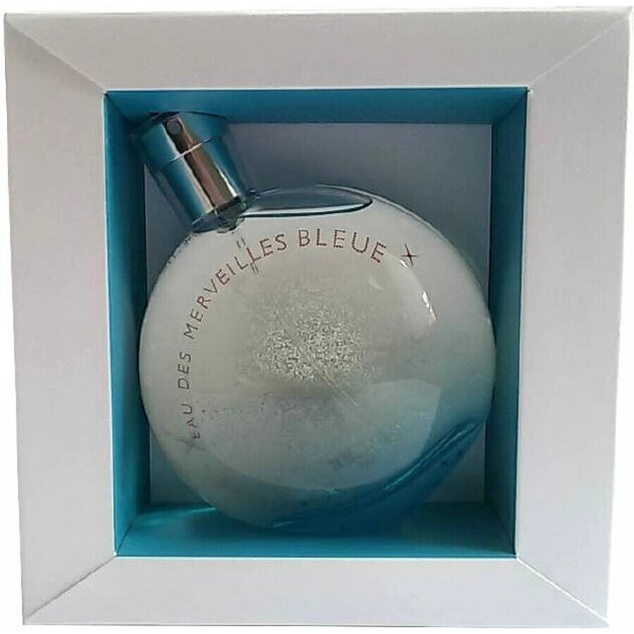 Hermes Eau Des Merveilles Bleue Eau Des Merveilles Edt 100ml 1×100 ml, Eau de Toilette