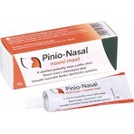 Pinio-Nasal Nasensalbe 1×10 g, Nasensalbe