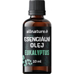 Allnature Eukalyptus ätherisches Öl 1×10 ml, ätherisches Öl