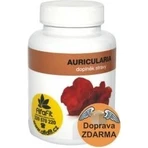 Mycomedica Auricularia 30% Vegan 500mg 90cps 1×90 cps