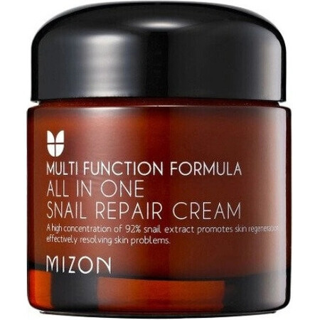 Mizon All In One Snail Repair Cream 75 ml 1×75 ml