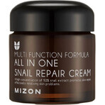 Mizon All In One Snail Repair Cream 75 ml 1×75 ml