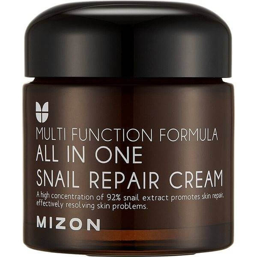 Mizon All In One Snail Repair Cream 75 ml 1×75 ml