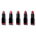 Set de rouge à lèvres Revolution PRO Matte Reds 1×5 pcs, set de rouge à lèvres