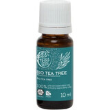 Tierra Verde Tea Tree Organic Essential Oil 30ml 1×1 pc, oil