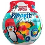 VIBOVIT + POLAR 50 1×50 pcs, complemento alimenticio