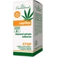 Cannaderm CAPILLUS sérum capillaire séborrhée 1×40 ml, apaise le cuir chevelu