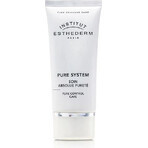 Institut Esthederm Institut Esthederm Pure Control Care Cream 50 ml 1×50 ml 1×50 ml, crème pour peaux grasses