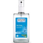 WELEDA Sage deodorant 1×200 ml, deodorant, refill - without spray