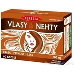 TEREZIA HAIR & NECHTY 1×60 cps, Nahrungsergänzungsmittel