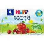 HiPP Bio-Früchtetee 20×2 g, Früchtetee