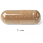 JAMIESON MUSHROOM COMPLEX 1×60 cps, supliment alimentar