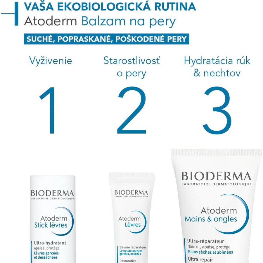 BIODERMA Atoderm Lippenbalsam 1×15 ml, Lippenbalsam