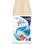 Glade spray automatico - ricarica lavanda 1×269 ml, ricarica per deodorante per ambienti