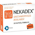 NEKADEX 1×20 cps, Nahrungsergänzungsmittel