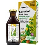 SALUS Floradix Gallexier 1×250 ml, formă lichidă