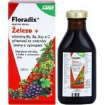 SALUS Floradix Gallexier 1×250 ml, formă lichidă