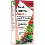 SALUS Floradix Gallexier 1×250 ml, formă lichidă