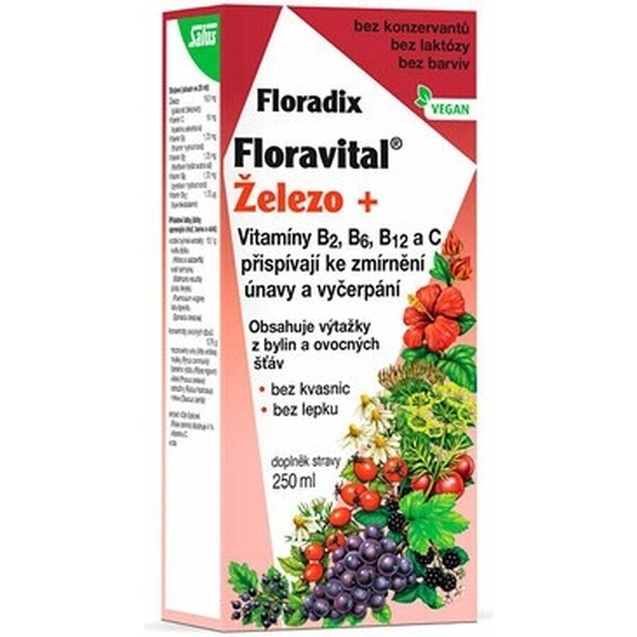 SALUS Floradix Gallexier 1×250 ml, formă lichidă