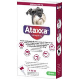 Ataxxa 1250 mg/250 mg (Hunde von 10 kg bis 25 kg) 1×2,5 ml, Lösung für Hunde