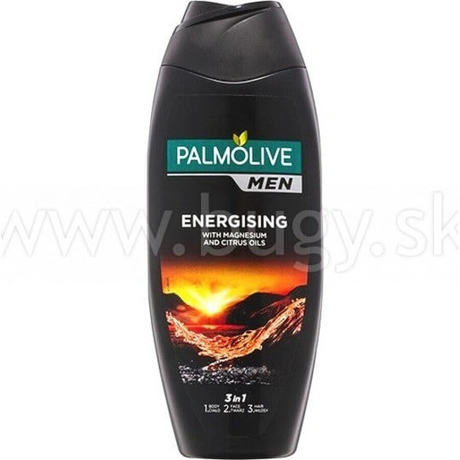 Palmolive Men Energizing Shower Gel 1×250 ml for men