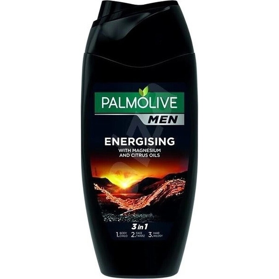 Palmolive Men Energizing Shower Gel 1×250 ml for men