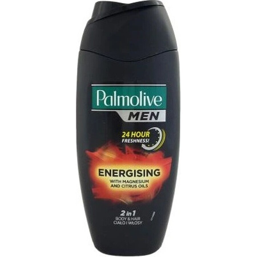 Palmolive Men Energizing Shower Gel 1×250 ml for men