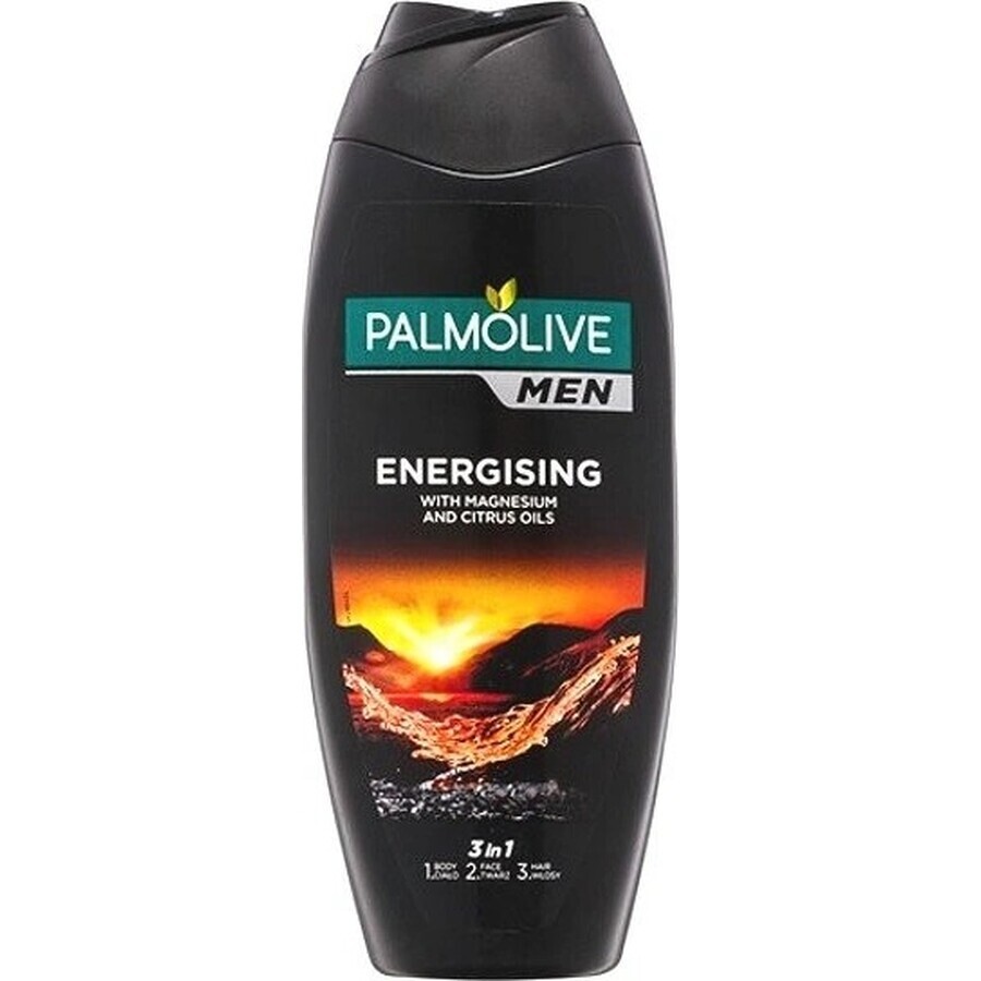 Palmolive Men Energizing Shower Gel 1×250 ml for men