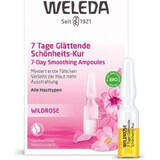 WELEDA ROSE Gesichtsöl in Fläschchen 7×0,8 ml, Gesichtsöl in Fläschchen