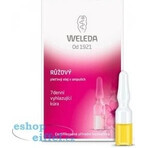 WELEDA ROSE Gesichtsöl in Fläschchen 7×0,8 ml, Gesichtsöl in Fläschchen