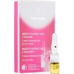 WELEDA ROSE Gesichtsöl in Fläschchen 7×0,8 ml, Gesichtsöl in Fläschchen