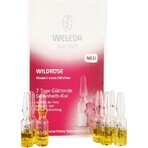 WELEDA ROSE Gesichtsöl in Fläschchen 7×0,8 ml, Gesichtsöl in Fläschchen