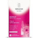 WELEDA ROSE Gesichtsöl in Fläschchen 7×0,8 ml, Gesichtsöl in Fläschchen