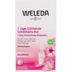 WELEDA ROSE Gesichtsöl in Fläschchen 7×0,8 ml, Gesichtsöl in Fläschchen