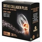 ORTHO COLLAGEN PLUS Sachets 1x30 Stück