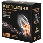 ORTHO COLLAGEN PLUS Sachets 1x30 Stück