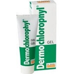 Dr. Müller DERMO CHLOROPHYL GEL 1×50 ml, skin gel