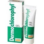 Dr. Müller DERMO CHLOROPHYL GEL 1×50 ml, skin gel