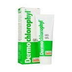 Dr. Müller DERMO CHLOROPHYL GEL 1×50 ml, skin gel