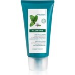 KLORANE BAUME À LA MENTHE 1×150 ml, balsamo per capelli con acqua di menta