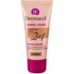 DERMACOL Color Cream 2in1 shade: NATURAL 1×30 ml, 2in1 coloring cream